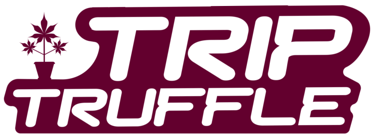 TripTruffle Brand Logo